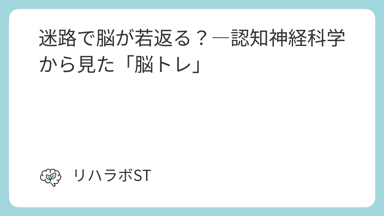 迷路と脳の働き